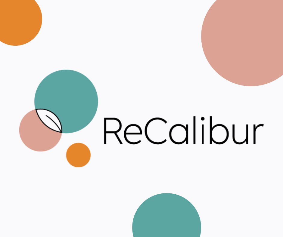 Náhľadový obrázok pre projekt ReCalibur.