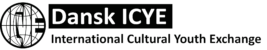 Logo ICYE.